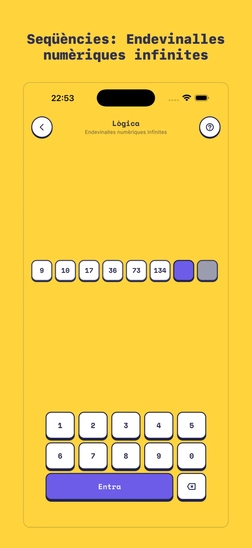 Seqüències: Endevinalles numèriques infinites